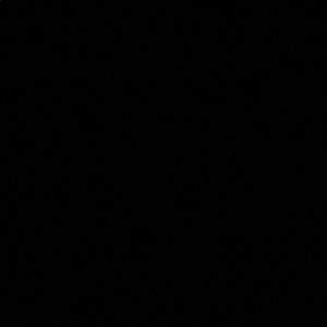 Meet your Posher, Vickie